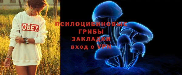 молекула духа Алзамай
