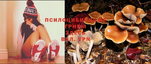 mix Алексин