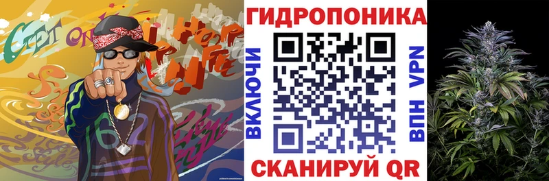 Шишки марихуана гибрид Бологое